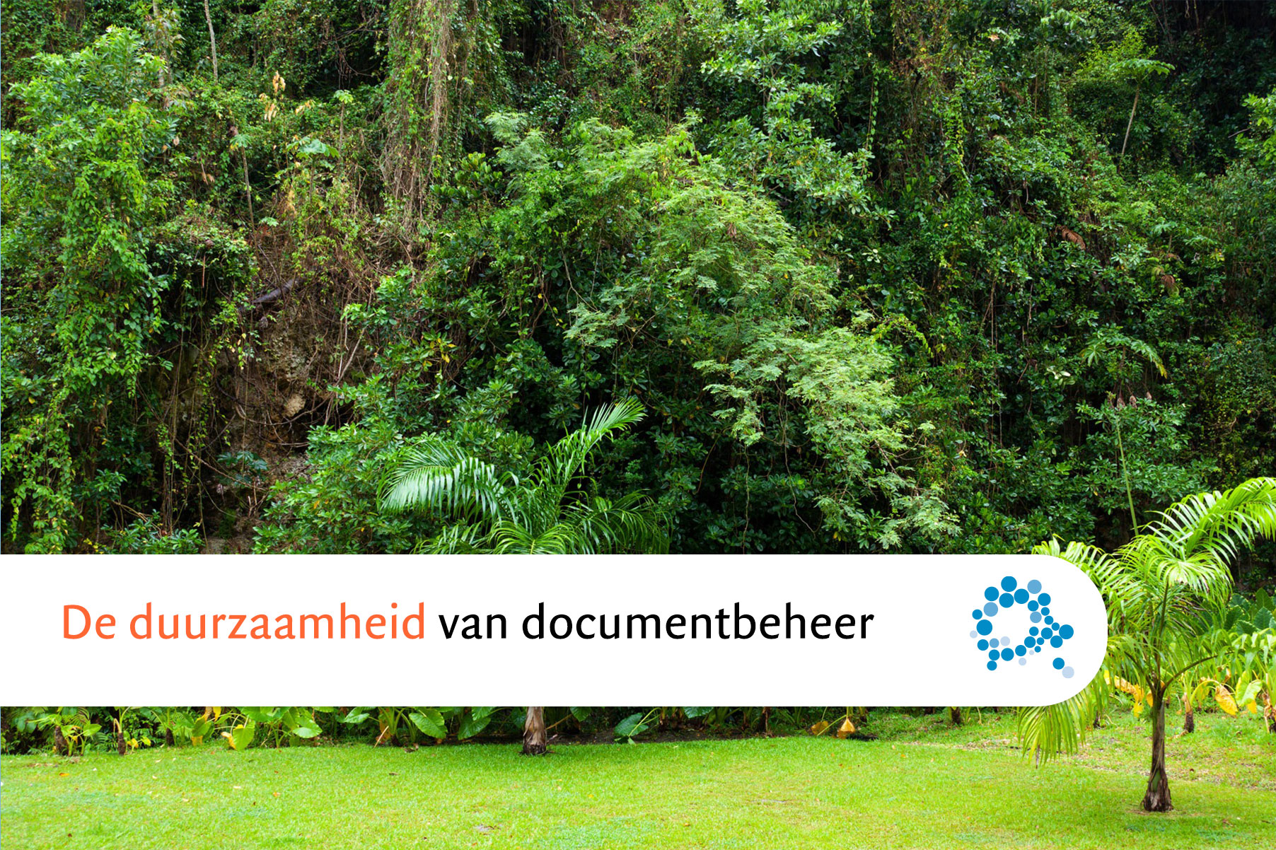 duurzaamheid-documentbeheer-dms-solidflows